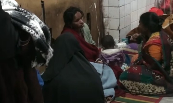 যশোরে বাদুড়ের মাংস খেয়ে একই পরিবারের ৬ জন হাসপাতালে; চুরির অভিযোগ