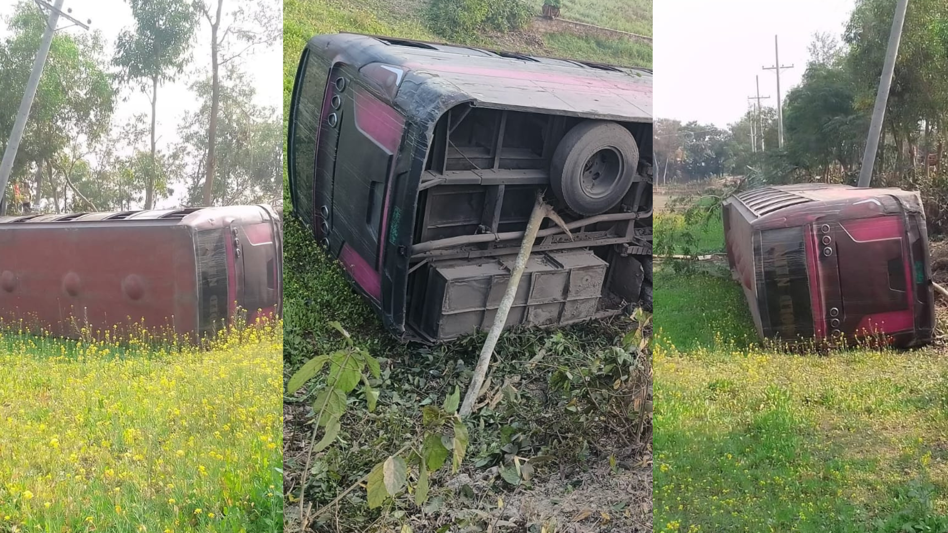 রাজবাড়ী-কুষ্টিয়া আঞ্চলিক মহাসড়কে বাস উল্টে আহত ৩