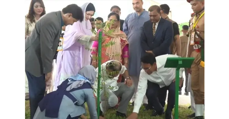 শিক্ষাঙ্গনে সবুজ বিপ্লব: ২৯ হাজার স্কুলে গাছ লাগালেন প্রধানমন্ত্রী