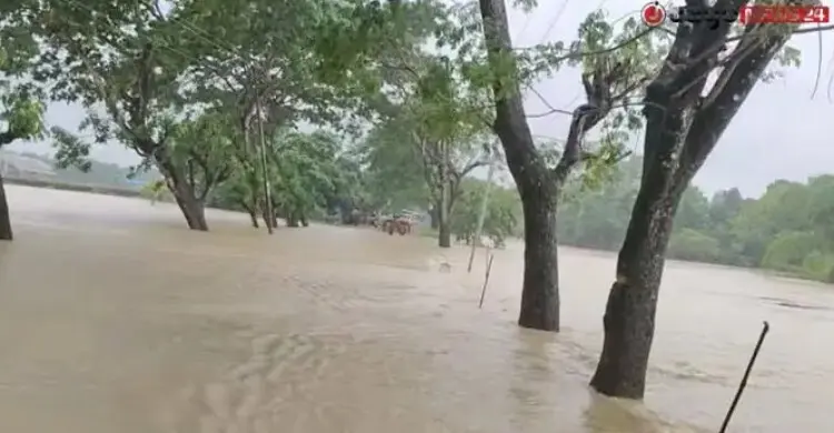বন্যা দুর্গতদের সহায়তায় সাড়ে ৪ কোটি টাকা ও প্রায় ৯ হাজার টন চাল বরাদ্দ