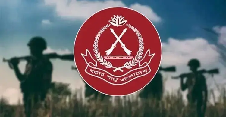 জুনে বিজিবির হানা: ৩০৭ কোটি টাকার মাল-সহ ৫৪৪ জন আটক