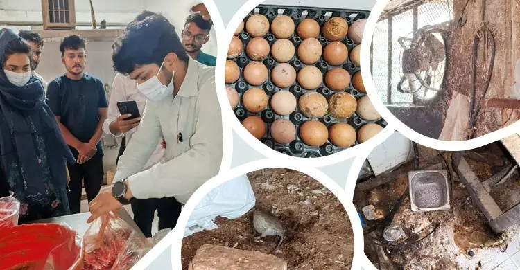 চট্টগ্রামে সাদিয়া’স কিচেনকে ৩ লাখ টাকা জরিমানা, রান্নাঘরে ইঁদুর