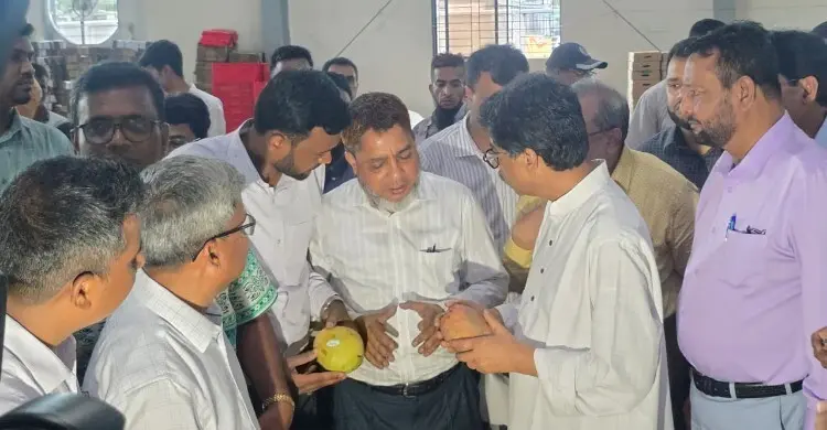 ফল রপ্তানিতে বড় সুবিধা, গাবতলীতে ভ্যাপার হিট প্ল্যান্ট চালু