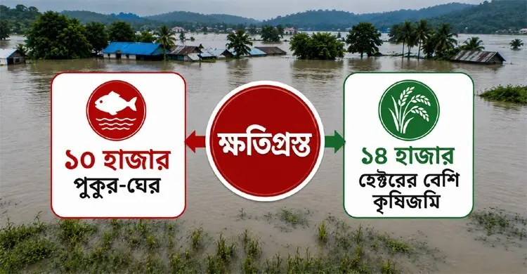 চট্টগ্রামে বন্যার তাণ্ডব: মৎস্য ও কৃষিতে শত কোটি টাকার ক্ষতি