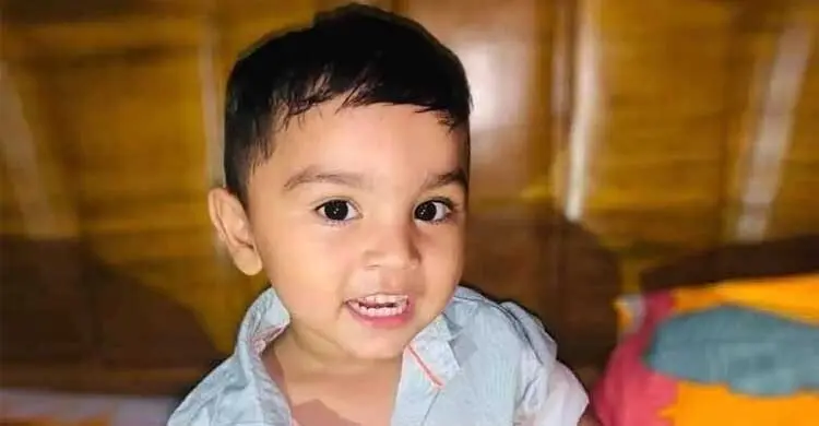 আনোয়ারায় ব্যালকনি থেকে পড়ে শিশুর মর্মান্তিক মৃত্যু