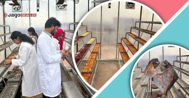 আবহাওয়া বাধাকে উপেক্ষা করেই শুঁটকি শুকাবে শেকৃবির স্মার্ট প্রযুক্তি