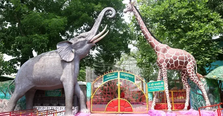 চট্টগ্রামে চিড়িয়াখানায় ফ্রি প্রবেশের সুযোগ, শর্ত ১০০ গ্রাম প্লাস্টিক