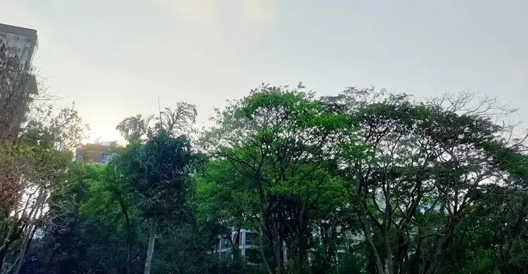 টানা তিন দিন ধরে ঢাকার বায়ুর মান একই অবস্থায়, শীর্ষে জাকার্তা