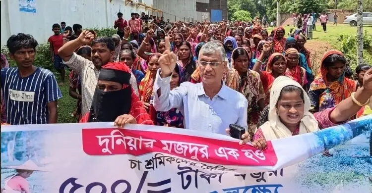 ফটিকছড়িতে চা শ্রমিকদের বিক্ষোভ, ৫০০ টাকা মজুরি ও ভূমি অধিকারের দাবি