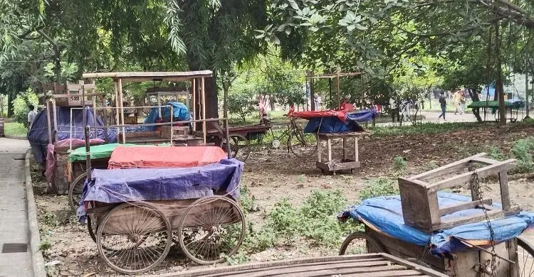 শহীদ মতিউর পার্কের অবহেলা: নতুন রাষ্ট্রপতির দায়িত্বে মিলবে কি সমাধান?