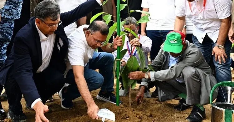 ২৫ কোটি বৃক্ষরোপণে সফলতা ধরতে ১৪ সদস্যের পরামর্শক পুল