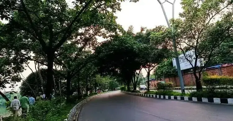 বিশ্বে সবচেয়ে দূষিত বাতাস কুচিংয়ে, ঢাকায় মাঝারি মান