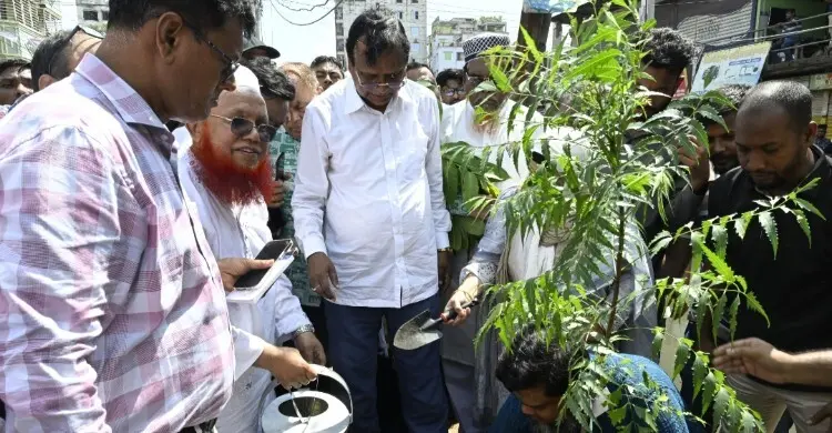 কদমতলীতে ডিএসসিসির বৃক্ষরোপণ কর্মসূচি, বিবেচনায় ১৩০ কোটির প্রকল্প