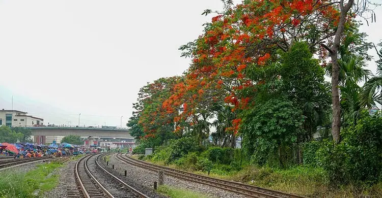 কুড়িলে ট্রেনে কাটা পড়ে প্রাণ গেল অজ্ঞাত ব্যক্তির, শনাক্তে সিআইডি