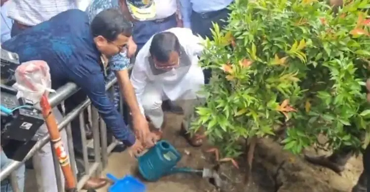 পল্টন থেকে দৈনিক বাংলা মোড়: সড়ক বিভাজকে সবুজায়ন শুরু দক্ষিণ সিটির