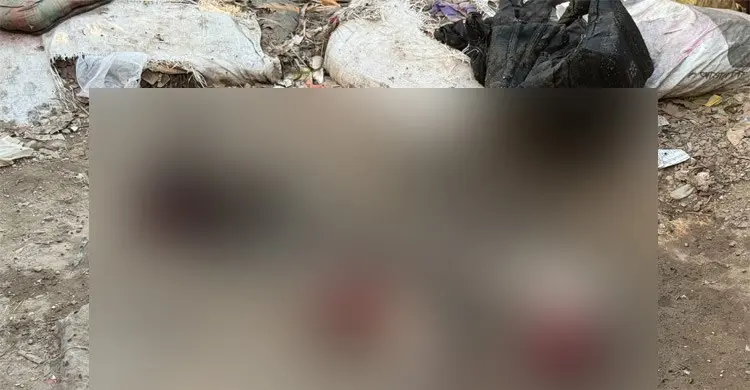 শিরশ্ছেদ দেহাংশ: আদাবরের হাক্কার মোড় থেকে নারীর মাথা ও দুই হাত উদ্ধার
