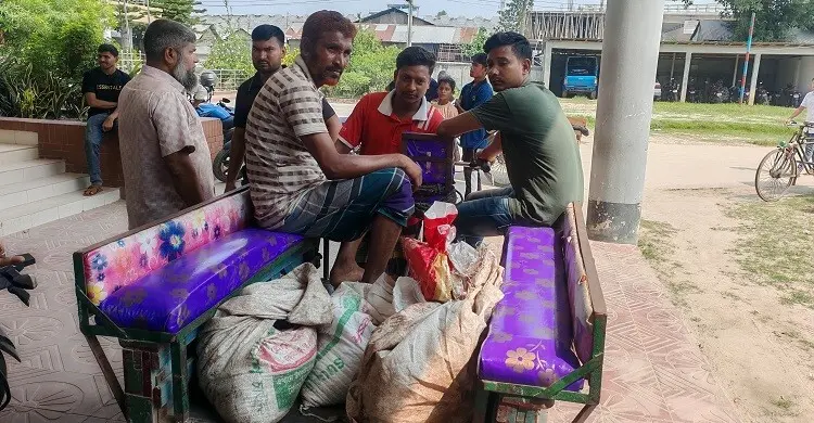 গোয়ালঘর থেকে গরু চুরি করে বউভাতে জবাই, গাইবান্ধায় আটক বরের বাবা