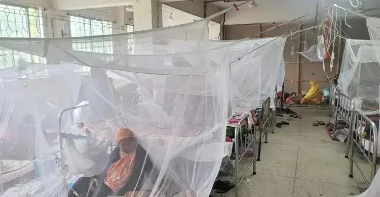 ভয়াবহ ডেঙ্গু: ২৪ ঘণ্টায় আরও ৪ জনের মৃত্যু, হাসপাতালে ১৯৭৮