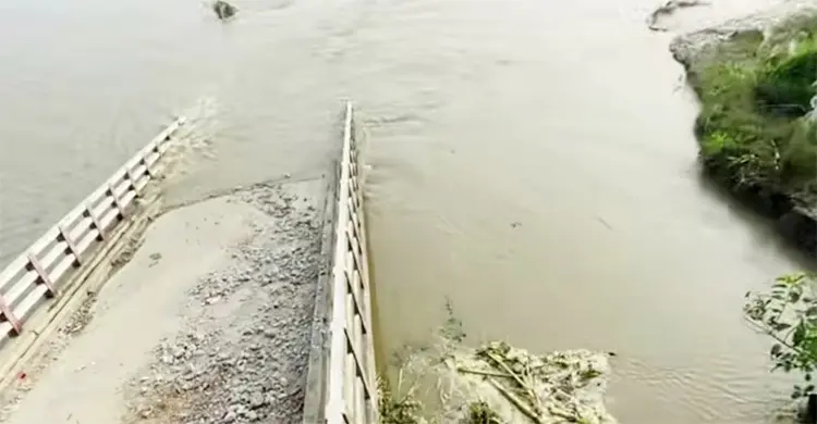 ছয় বছরেই পদ্মাগর্ভে বিলীন ৮ কোটি টাকার সেতু, দিশেহারা এলাকাবাসী